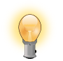 Bulb
