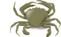 Crab