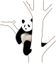 Панда