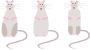 Rats