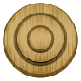 Concentric