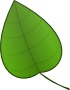 Leaf