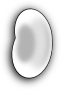 Bean