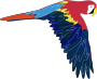 Parrot