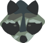 Racoon
