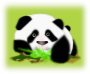 Панда