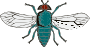 Fly