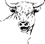 Bull