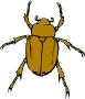 Bug