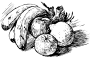 Fruit