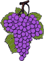 Grape