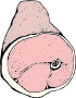 Ham