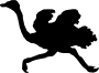 Ostrich