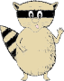 Raccoon