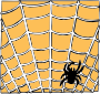Web