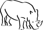 Rhino