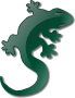 Lizard