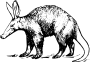 Aardvark
