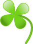 Clover