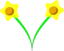 Daffodil