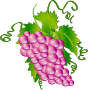 Grape