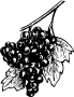 Виноград