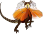 Lizard